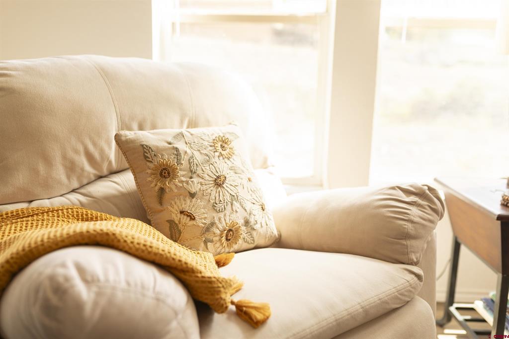 227 Diamond Road Creede CO 81130