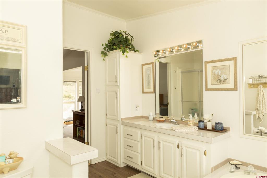 227 Diamond Road Creede CO 81130