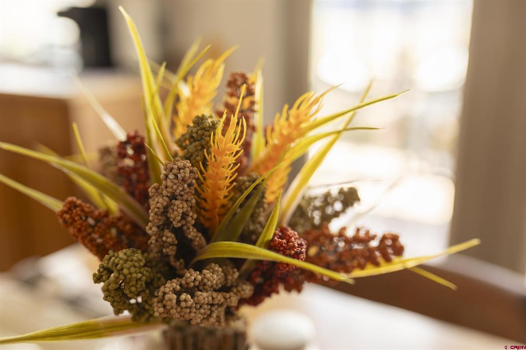 227 Diamond Road Creede CO 81130