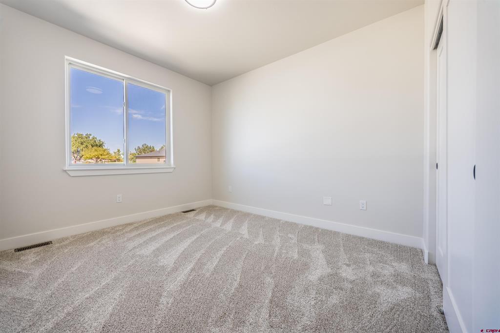 3715 Chestnut Drive Montrose CO 81401