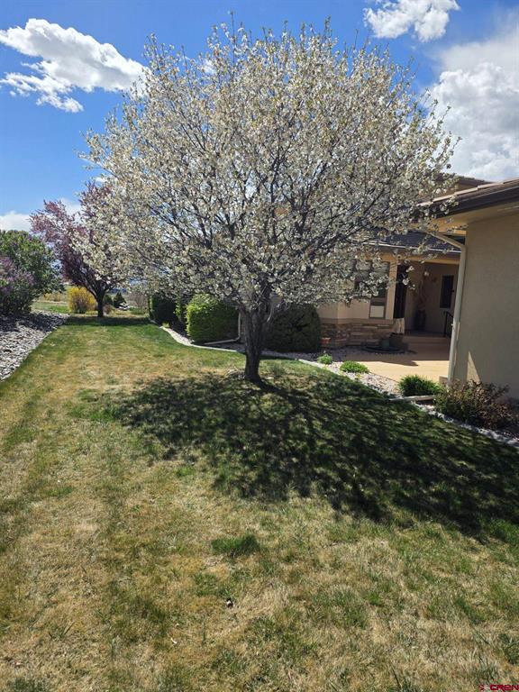 3000 Belle Haven Way Montrose CO 81401
