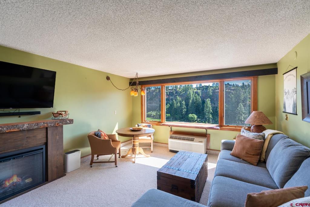 314 N Tamarron Drive Durango CO 81301