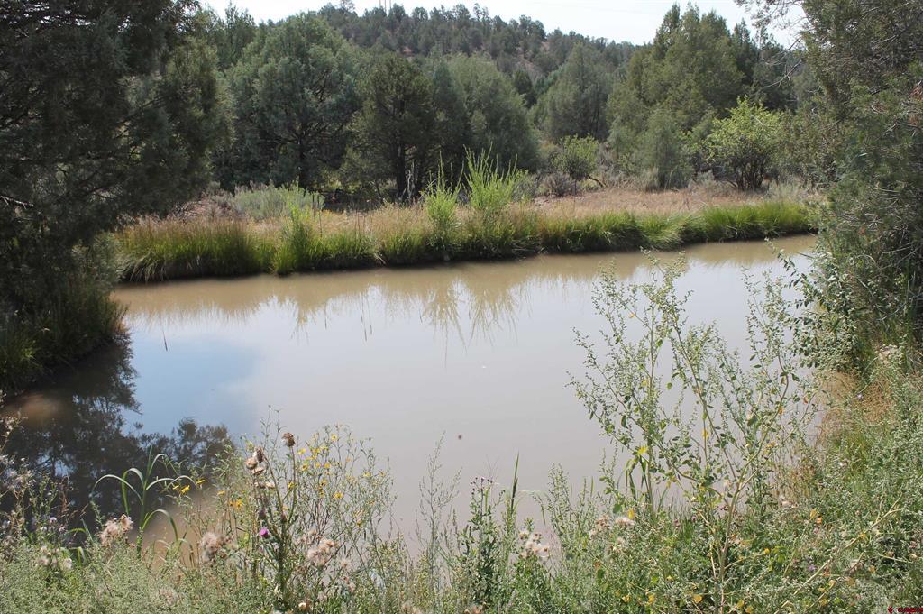 3605 Cr 307 Durango CO 81303