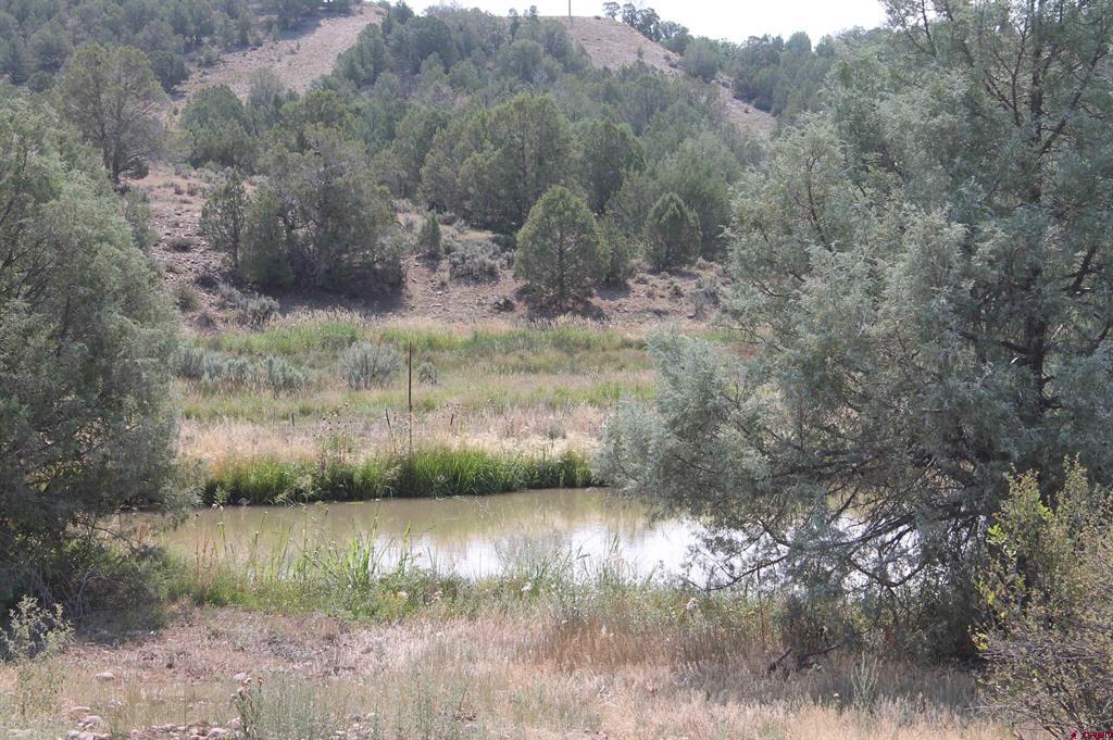 3605 Cr 307 Durango CO 81303