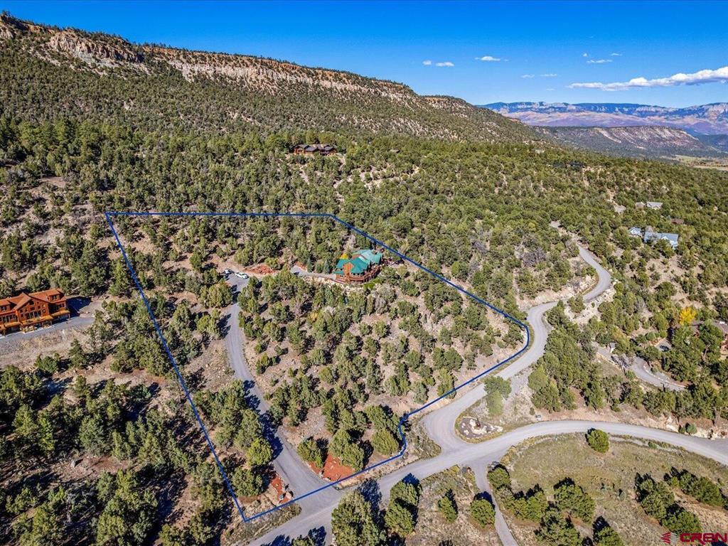 411 Pleasant Valley Drive Ridgway CO 81432