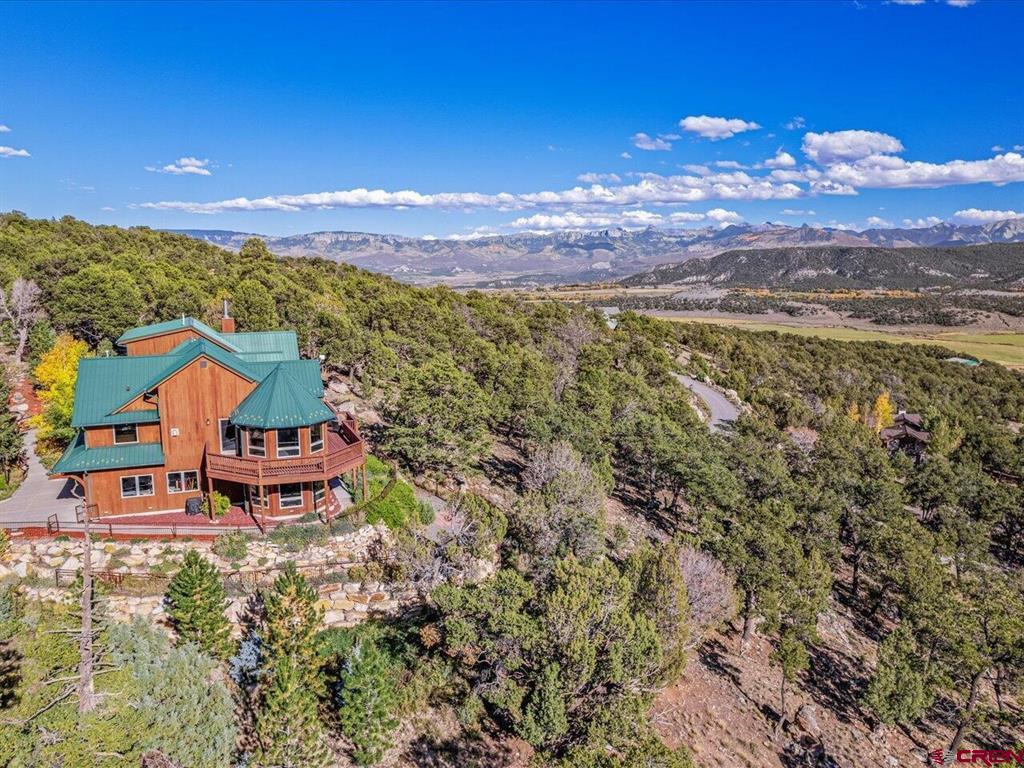 411 Pleasant Valley Drive Ridgway CO 81432