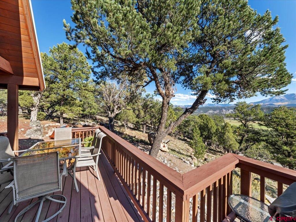 411 Pleasant Valley Drive Ridgway CO 81432