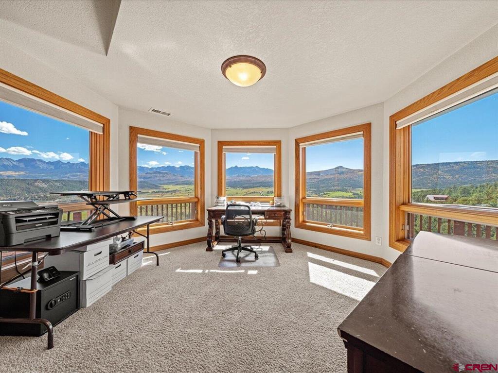 411 Pleasant Valley Drive Ridgway CO 81432