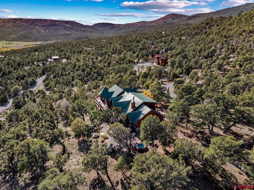 411 Pleasant Valley Drive Ridgway CO 81432