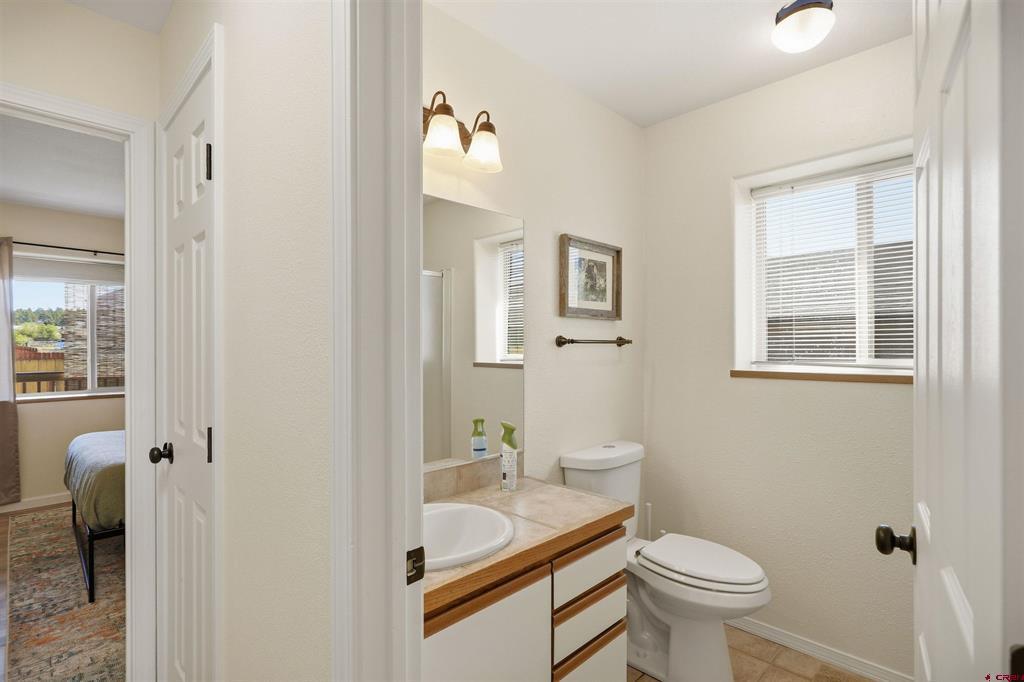 224 Midiron Avenue Pagosa Springs CO 81147