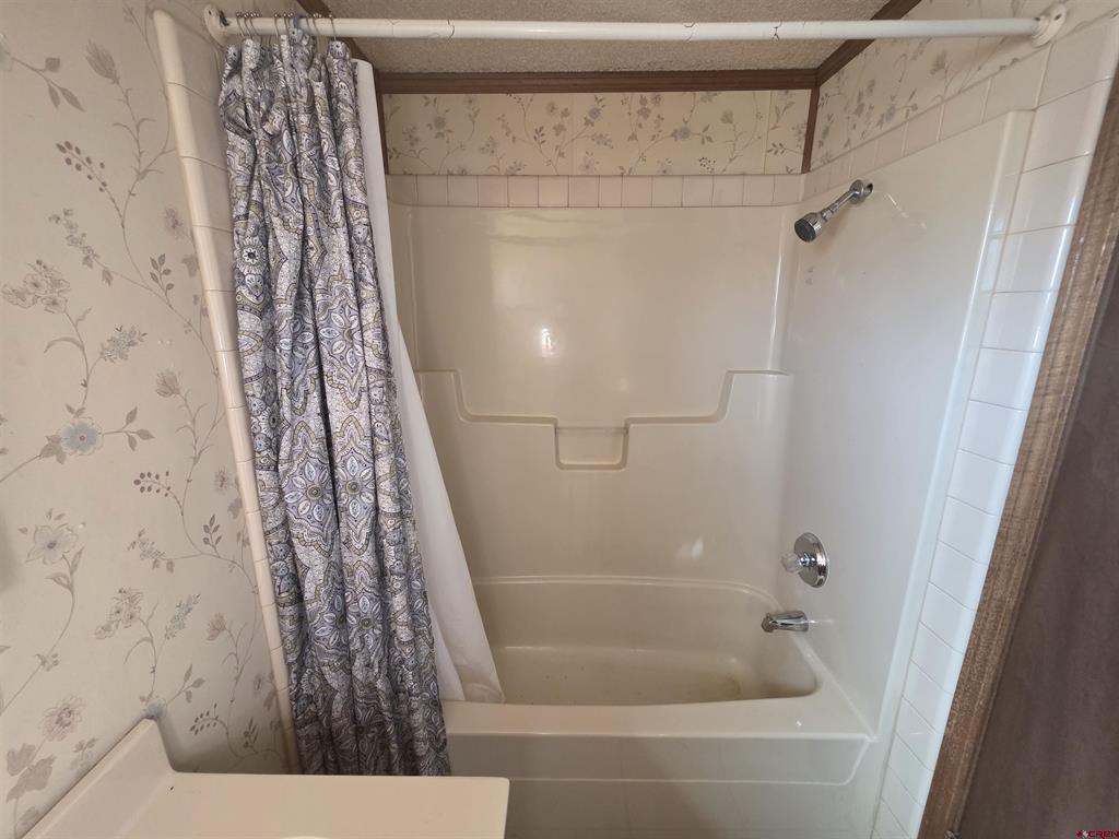 232 Arapahoe Road South Fork CO 81154