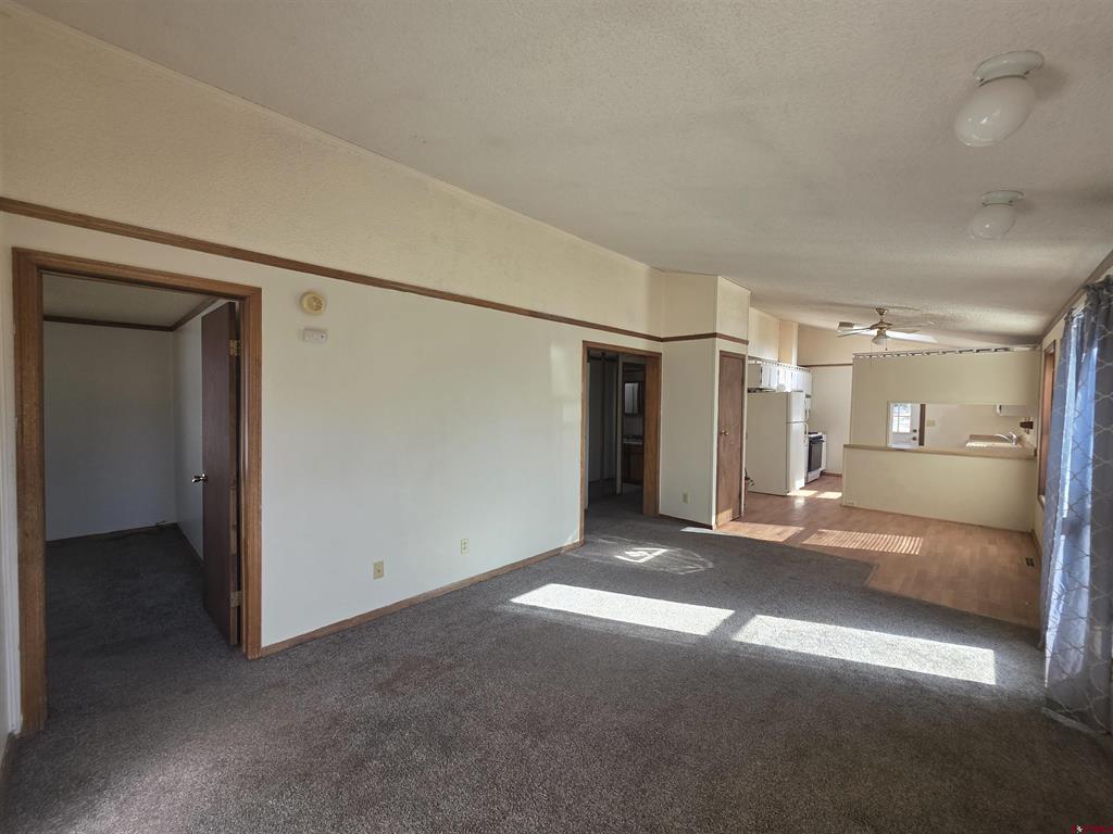 232 Arapahoe Road South Fork CO 81154
