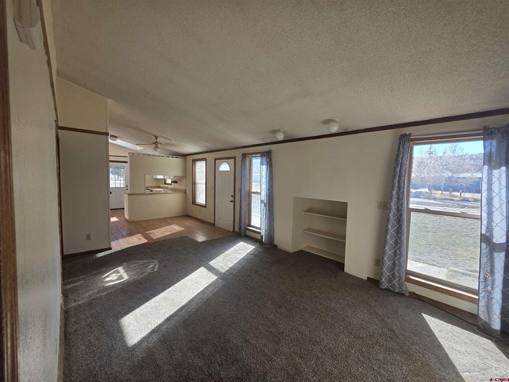 232 Arapahoe Road South Fork CO 81154