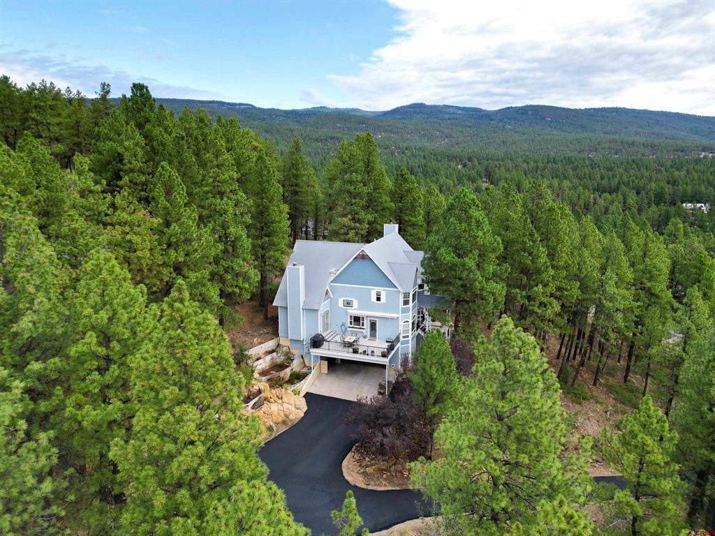 448 Iron King Durango CO 81301