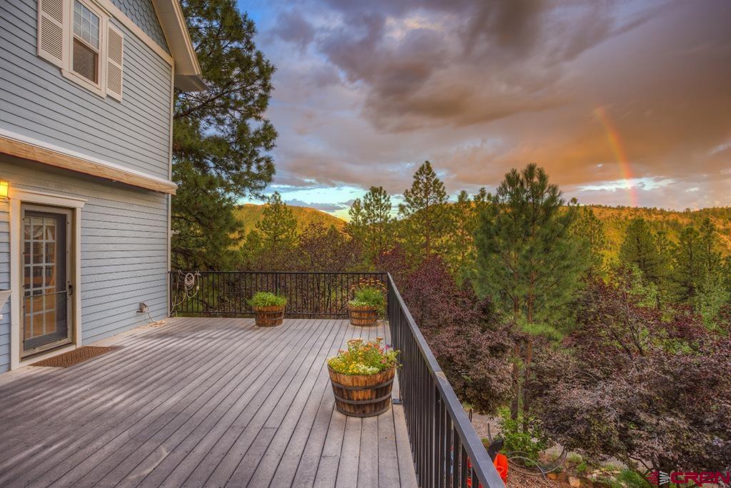 448 Iron King Durango CO 81301