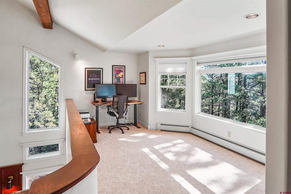 448 Iron King Durango CO 81301