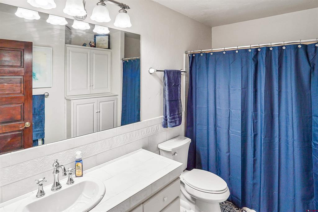 448 Iron King Durango CO 81301