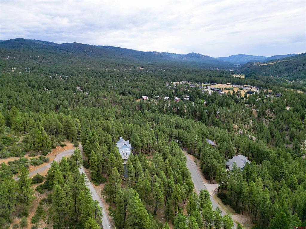 448 Iron King Durango CO 81301
