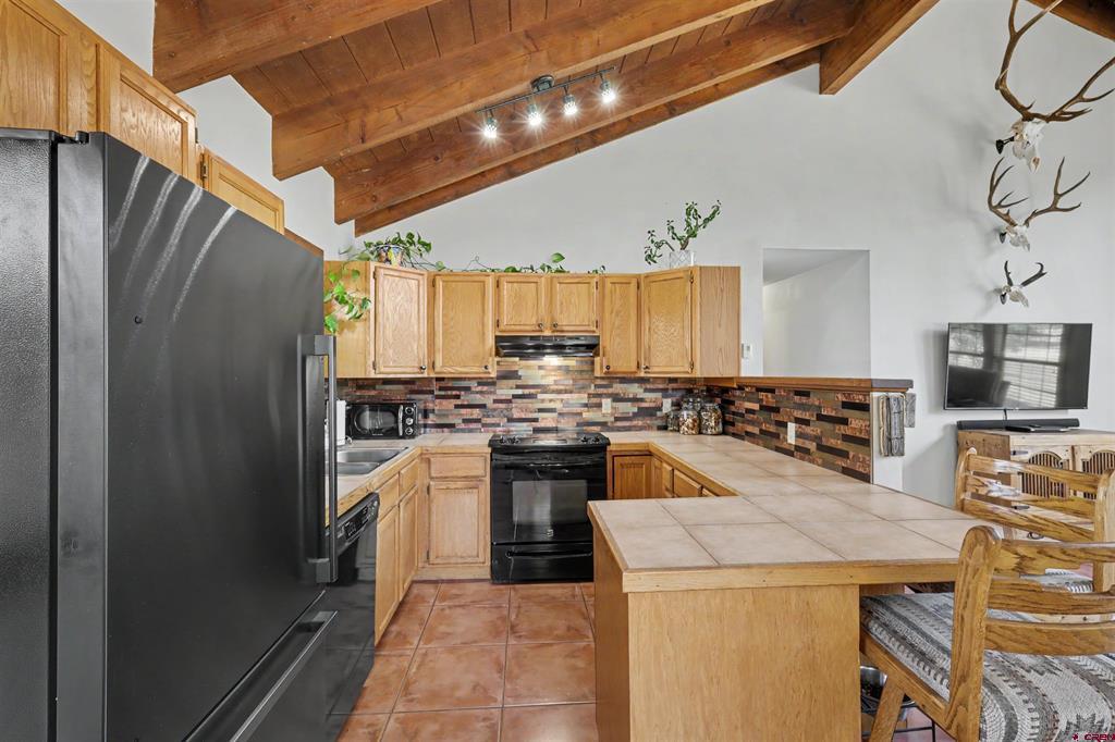 64 Cleek Court Pagosa Springs CO 81147