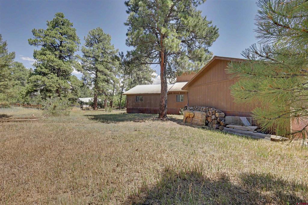 64 Cleek Court Pagosa Springs CO 81147