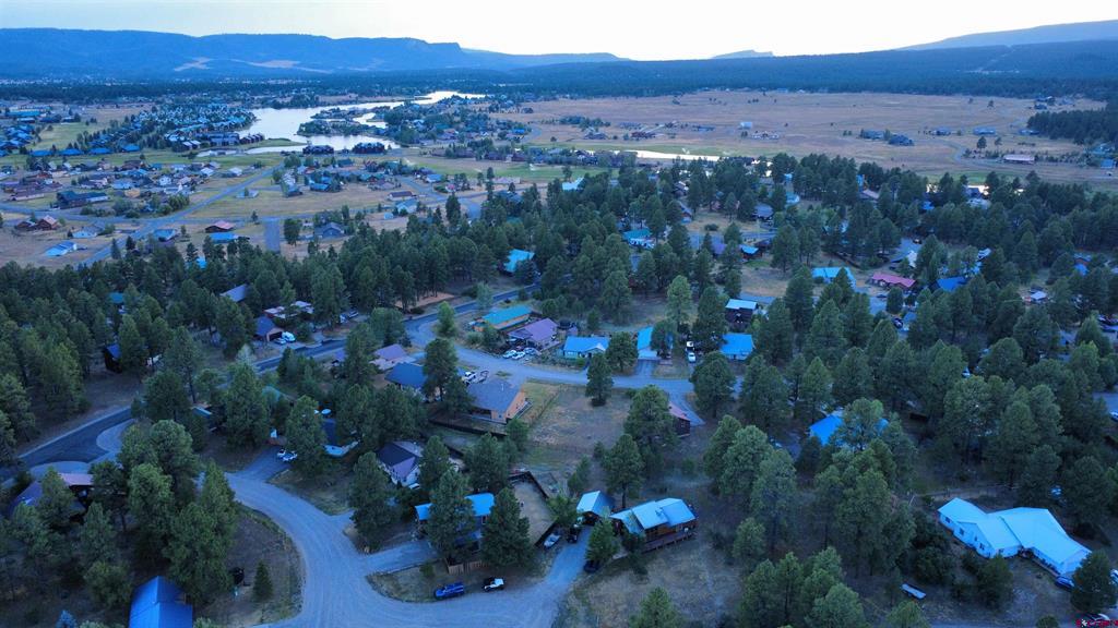 64 Cleek Court Pagosa Springs CO 81147