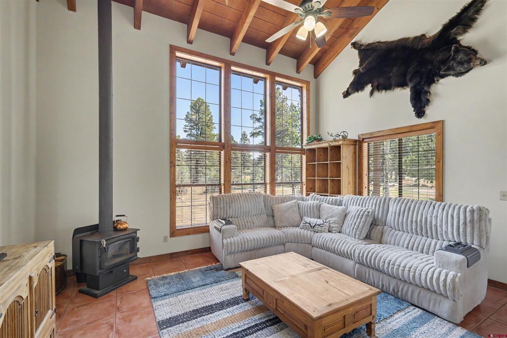 64 Cleek Court Pagosa Springs CO 81147