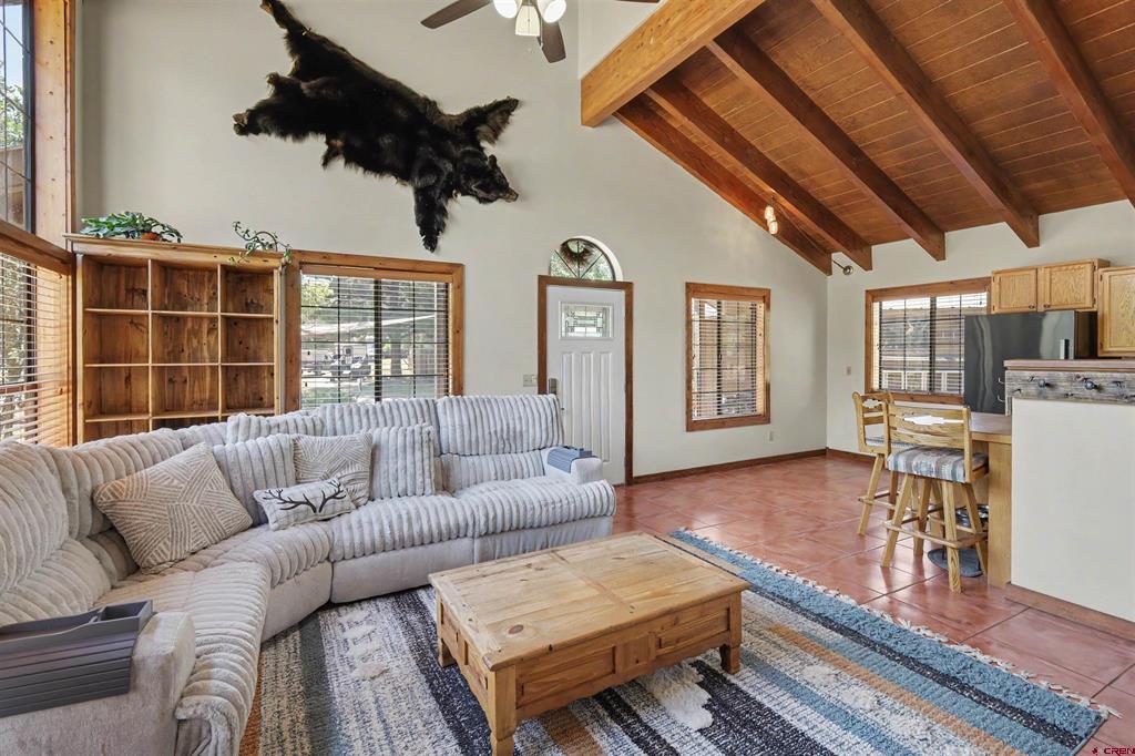 64 Cleek Court Pagosa Springs CO 81147