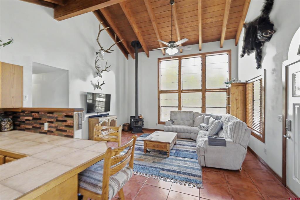 64 Cleek Court Pagosa Springs CO 81147