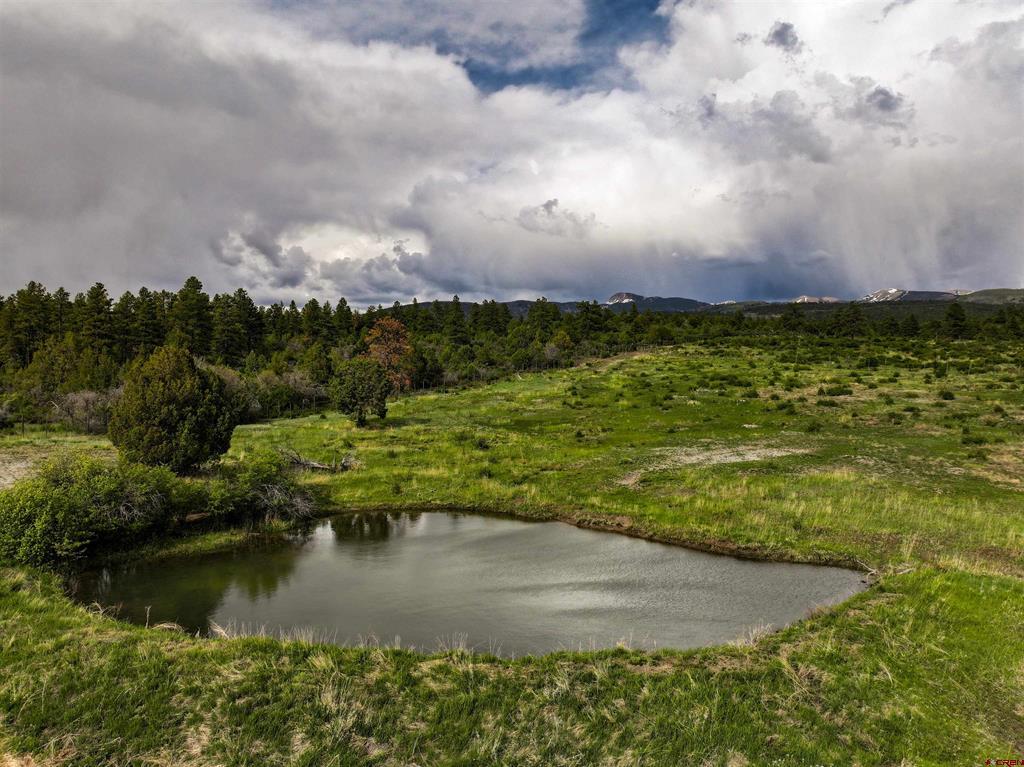 44401 & 44501 160 Highway Mancos CO 81328