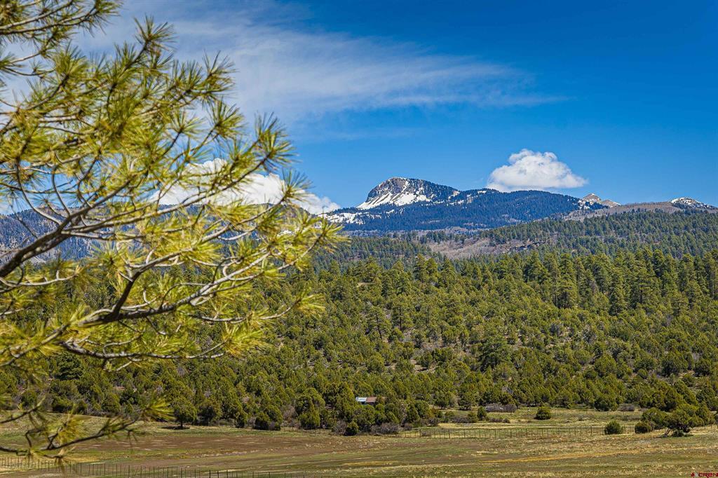 44401 & 44501 160 Highway Mancos CO 81328