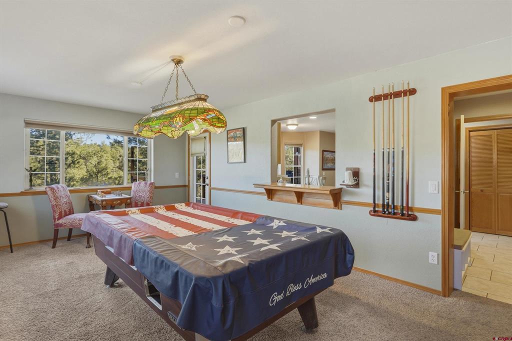 310 Twincreek Circle Pagosa Springs CO 81147
