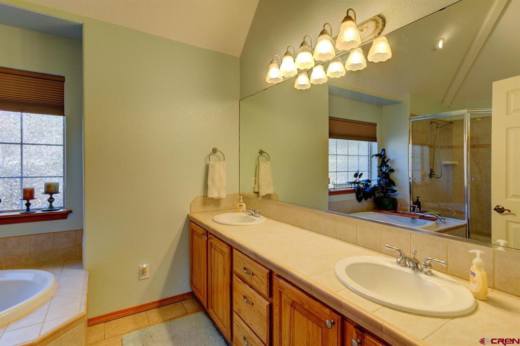 310 Twincreek Circle Pagosa Springs CO 81147