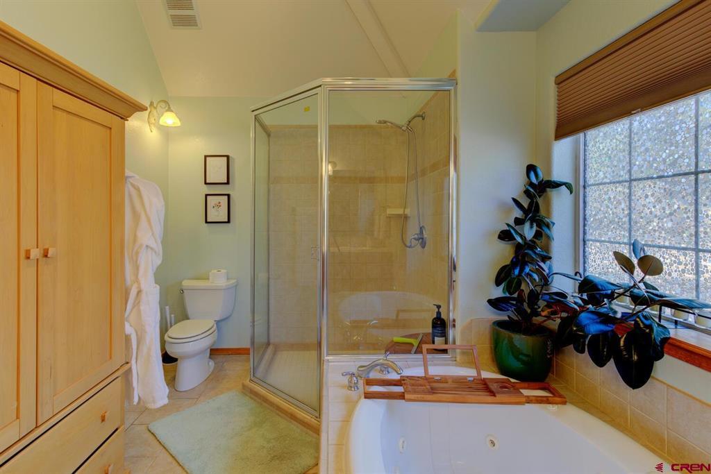 310 Twincreek Circle Pagosa Springs CO 81147