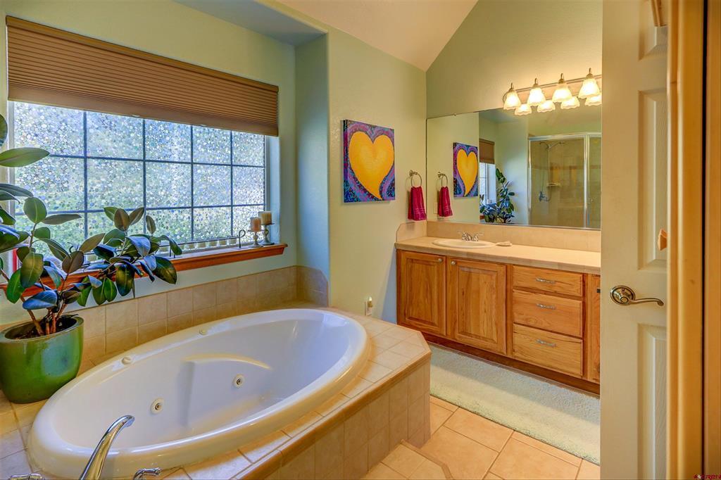 310 Twincreek Circle Pagosa Springs CO 81147