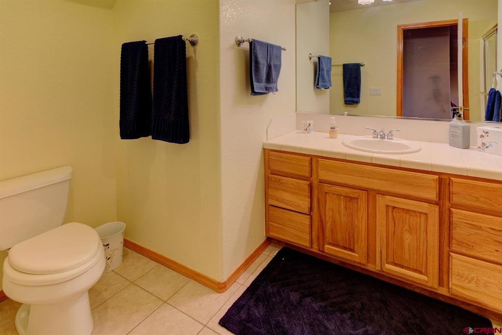 310 Twincreek Circle Pagosa Springs CO 81147