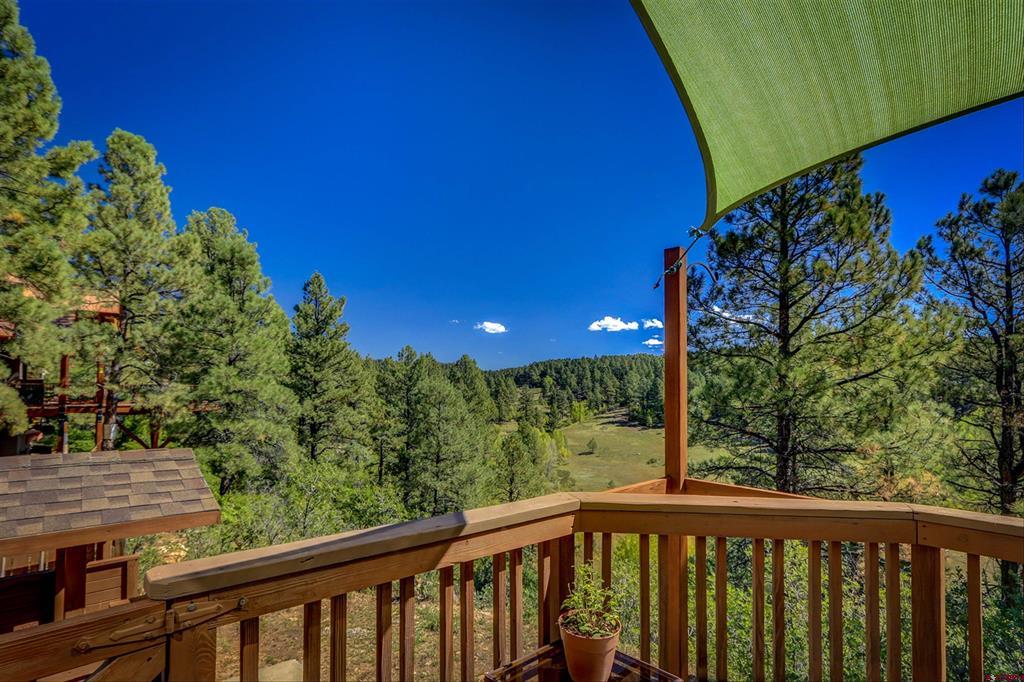 310 Twincreek Circle Pagosa Springs CO 81147