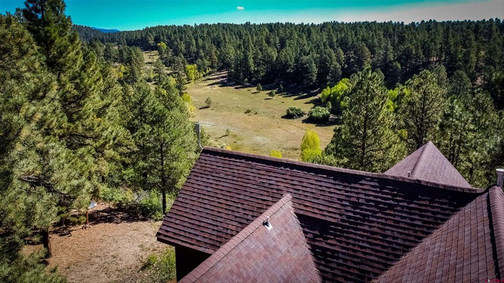 310 Twincreek Circle Pagosa Springs CO 81147