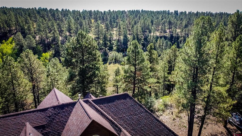 310 Twincreek Circle Pagosa Springs CO 81147