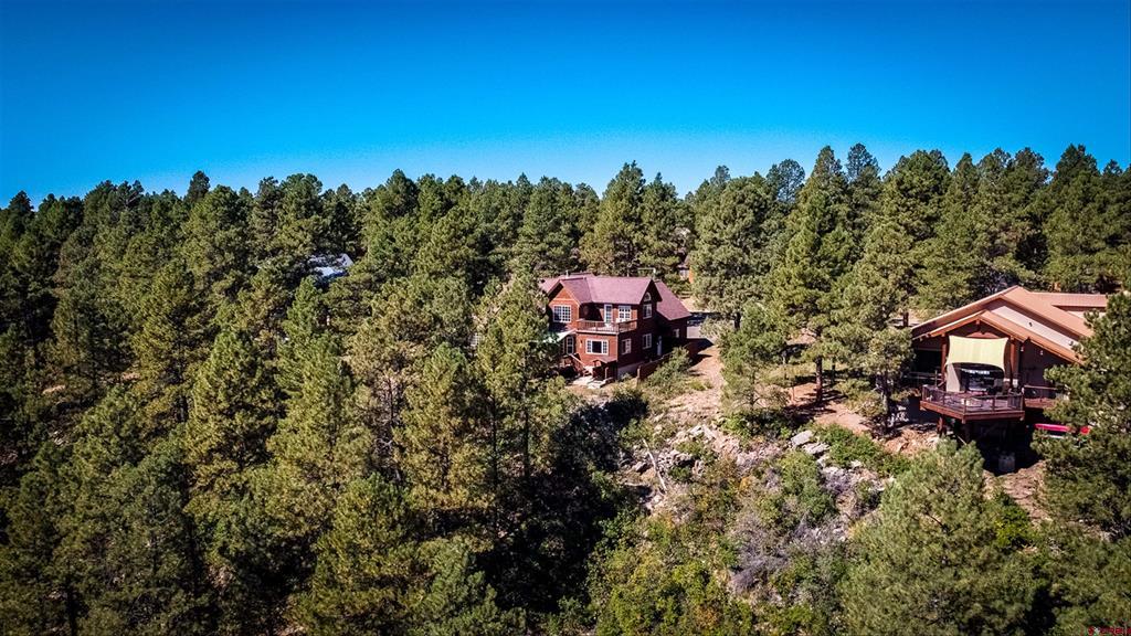 310 Twincreek Circle Pagosa Springs CO 81147