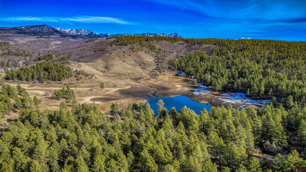 456 Regal Pines Court Pagosa Springs CO 81147