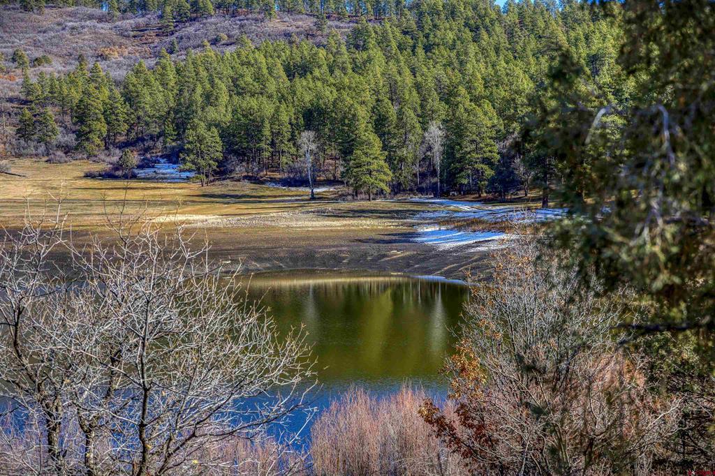 456 Regal Pines Court Pagosa Springs CO 81147