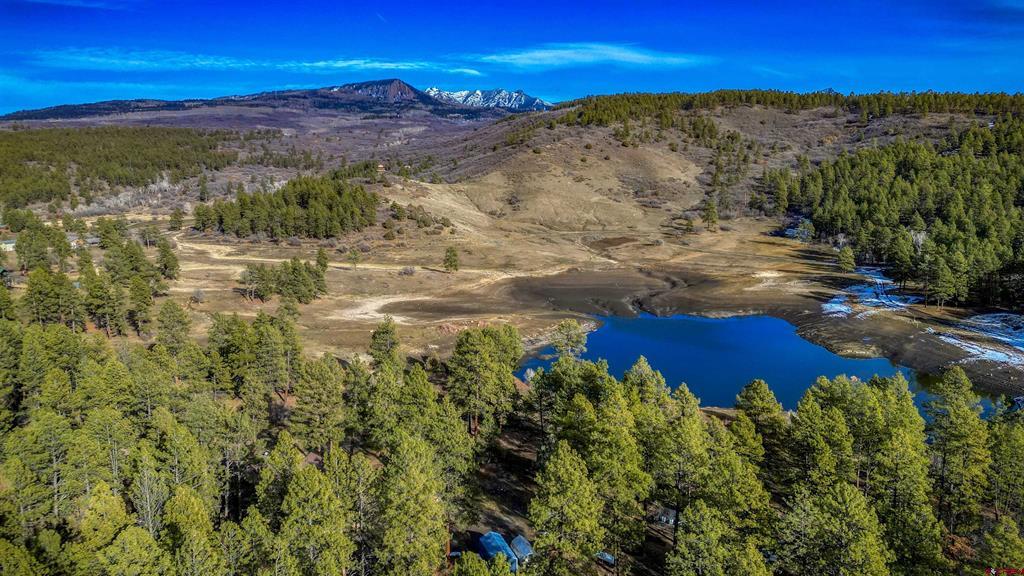 456 Regal Pines Court Pagosa Springs CO 81147