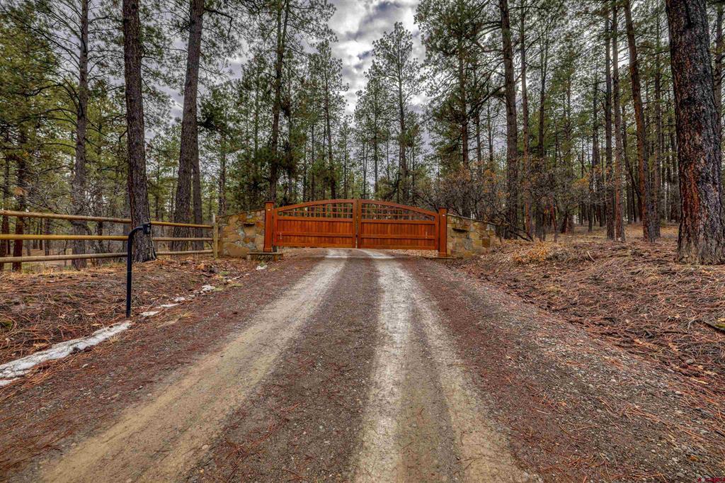 456 Regal Pines Court Pagosa Springs CO 81147