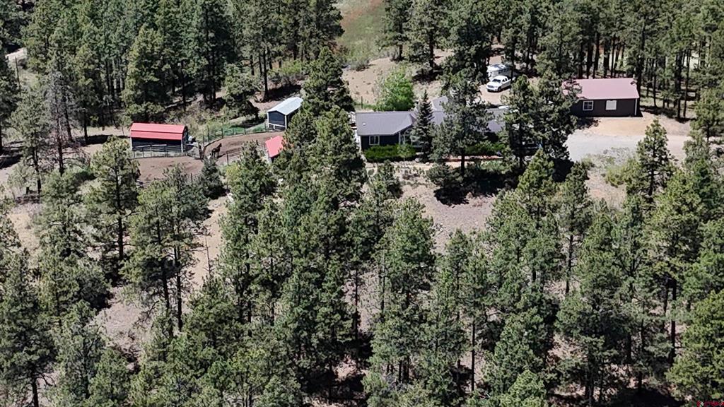 463 Chimney Drive Bayfield CO 81122
