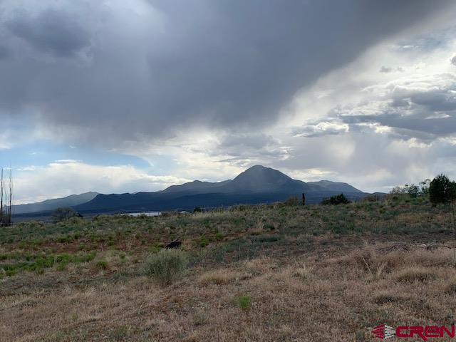 22989 Road G.5 Cortez CO 81321