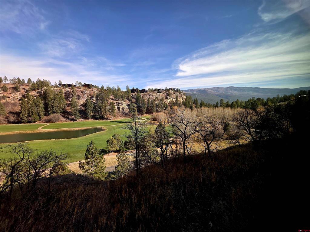 314 N Tamarron Drive Durango CO 81301