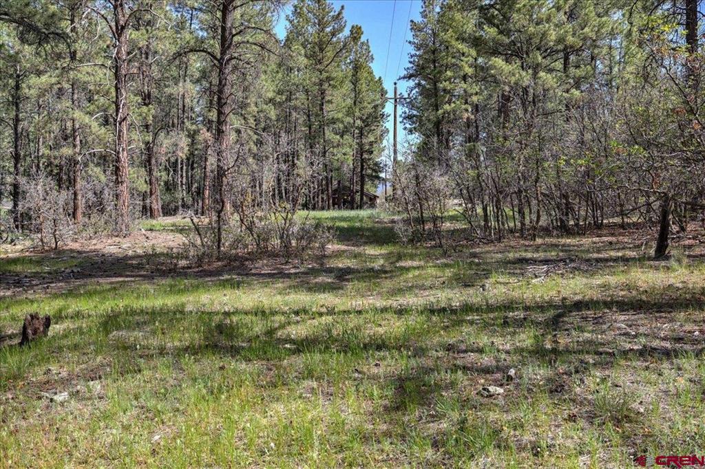 21320 W Highway 160 Pagosa Springs CO 81147