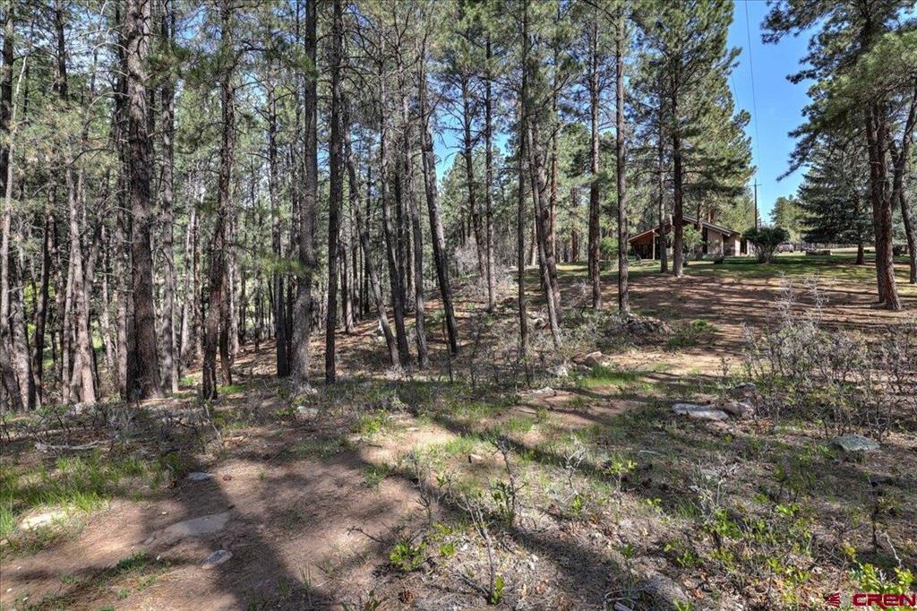 21320 W Highway 160 Pagosa Springs CO 81147