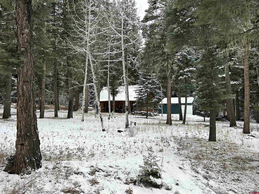 1609 County Road 500 Bayfield CO 81122