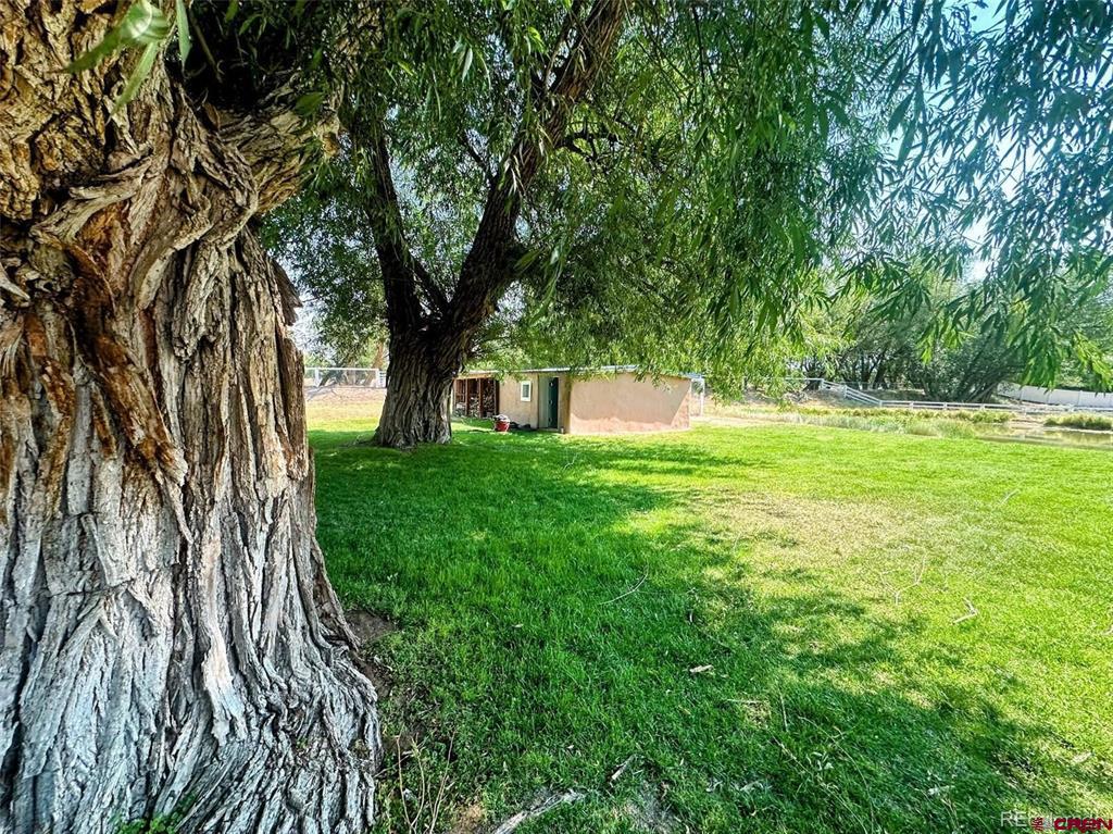 1207 Lincoln Street Alamosa CO 81101